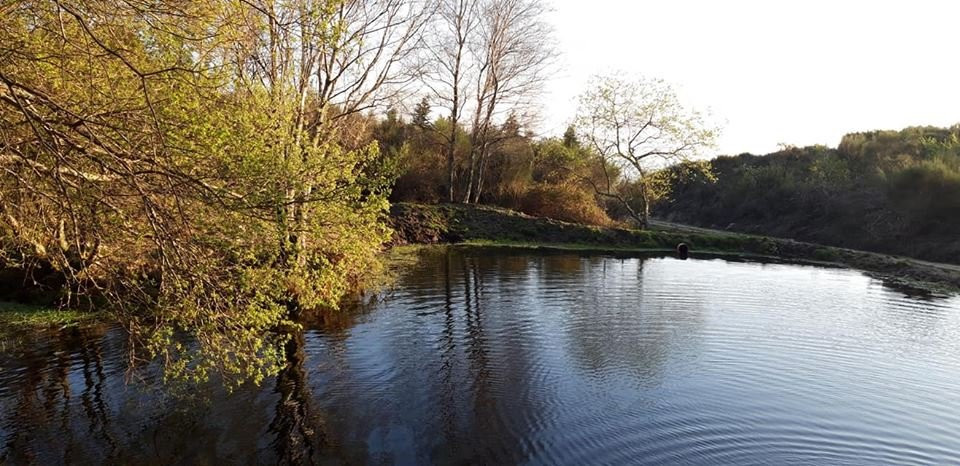 Quinta de Favaes主图