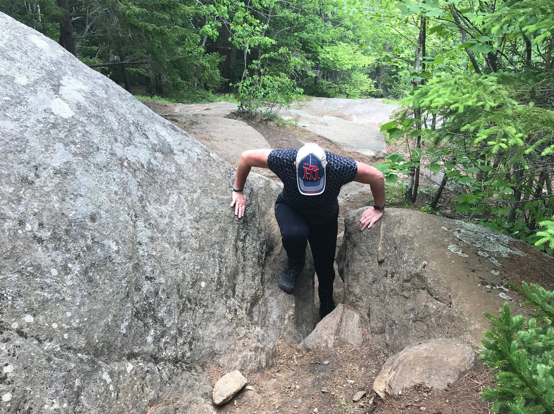 Cobble Hill-普莱西德湖必去景点