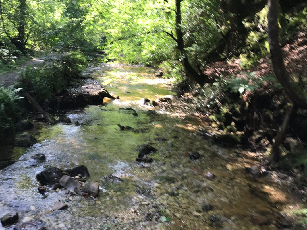 Song of the River B & B主图