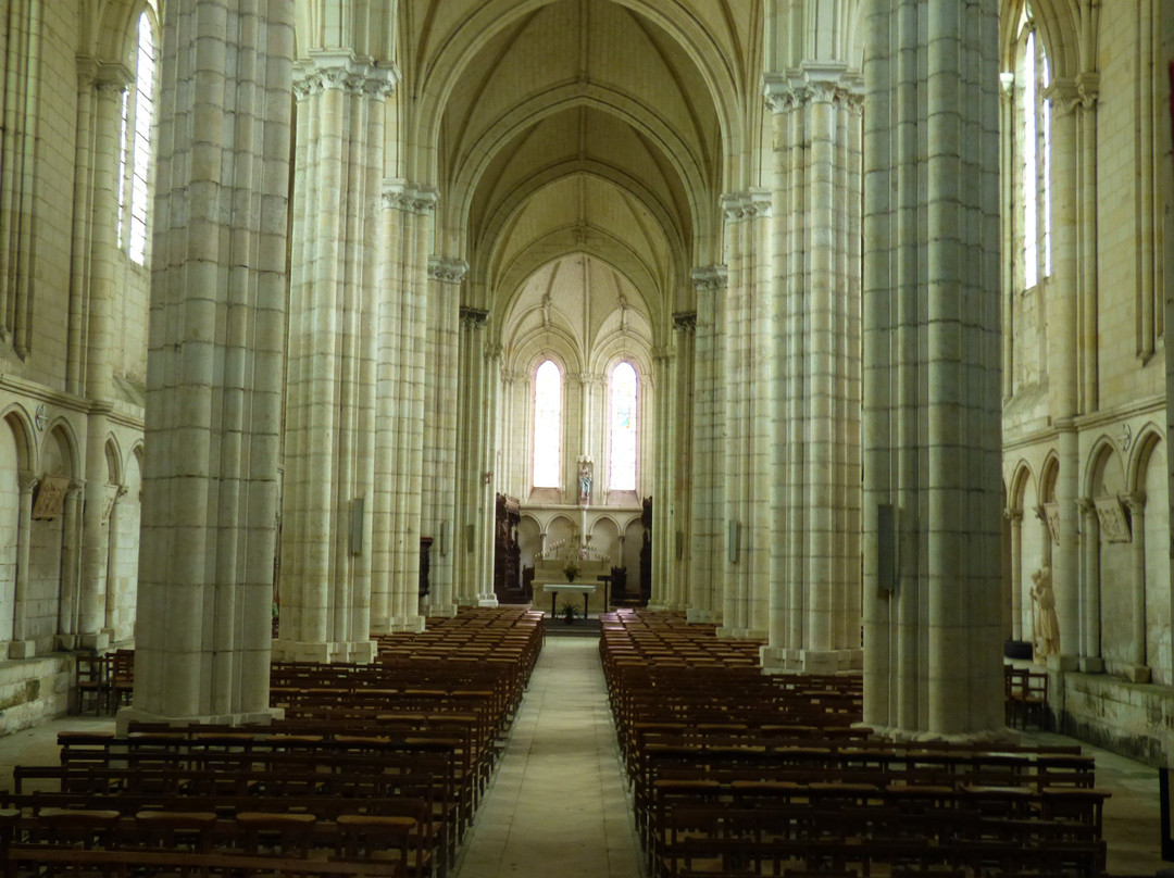 Collégiale Du Puy-Notre-Dame景点图片