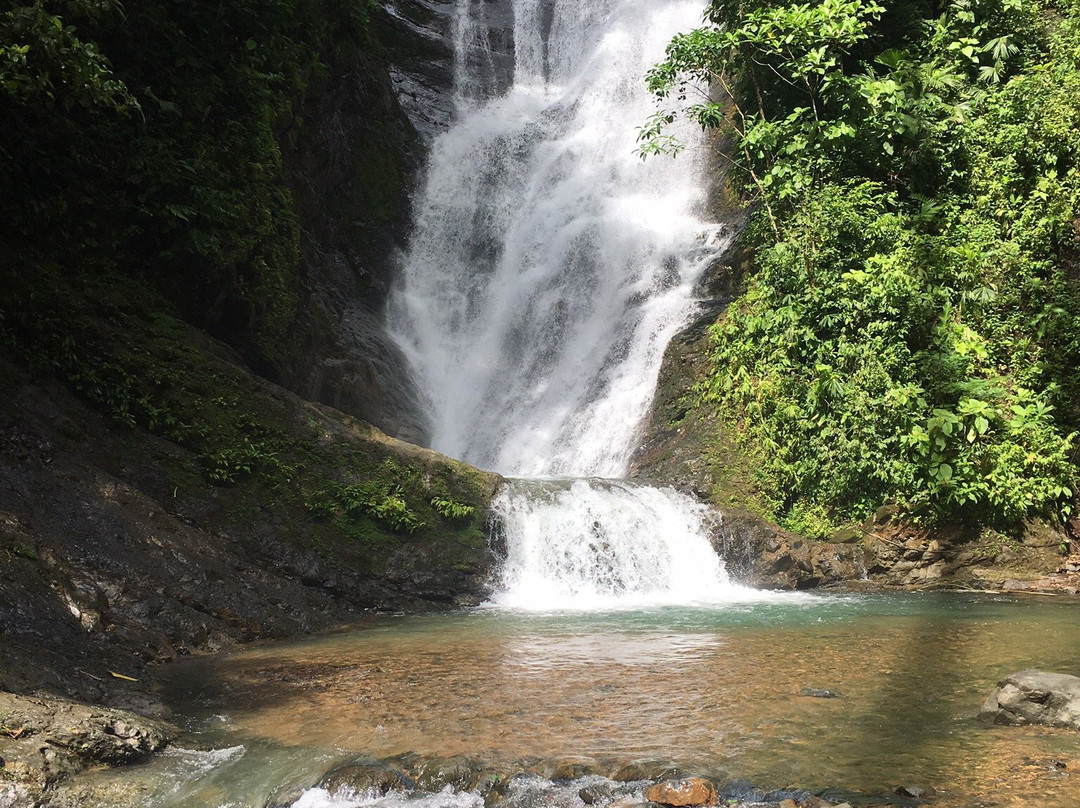 Waterfalls Manuel Antonio景点图片