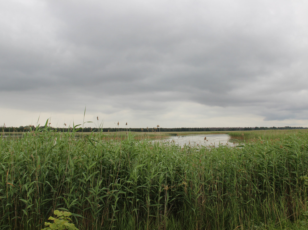 Lake Lubans-Rezekne必去景点