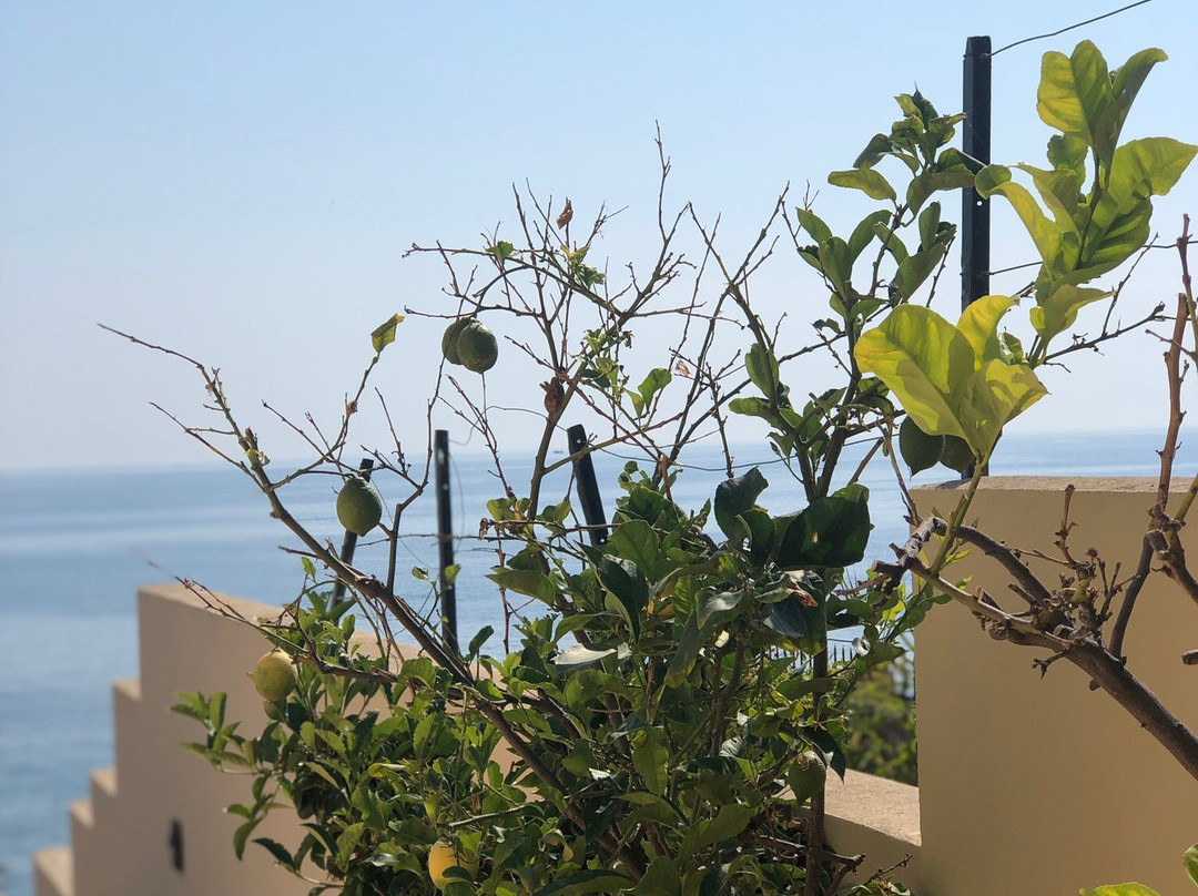 B&B Villa Addaura主图