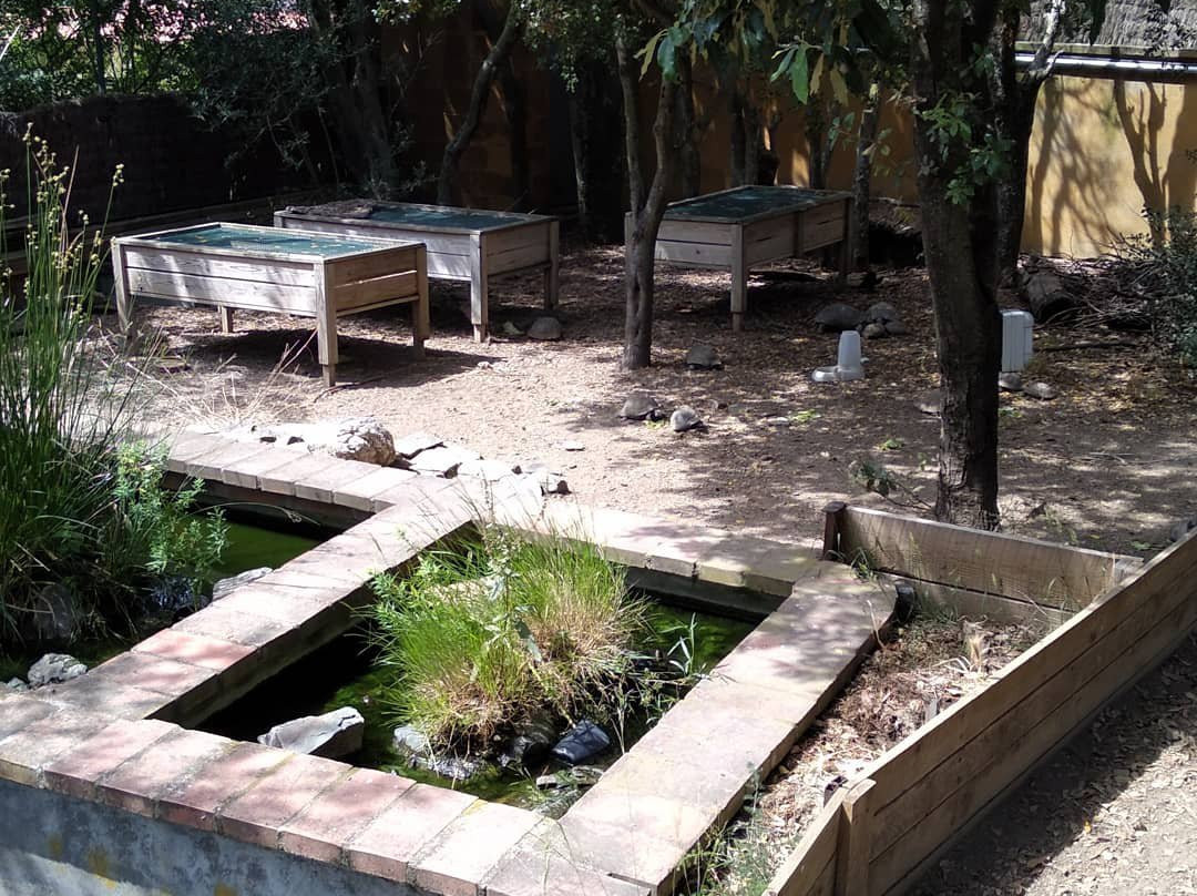 Centre de Reproduccio de Tortugues de l'Albera景点图片