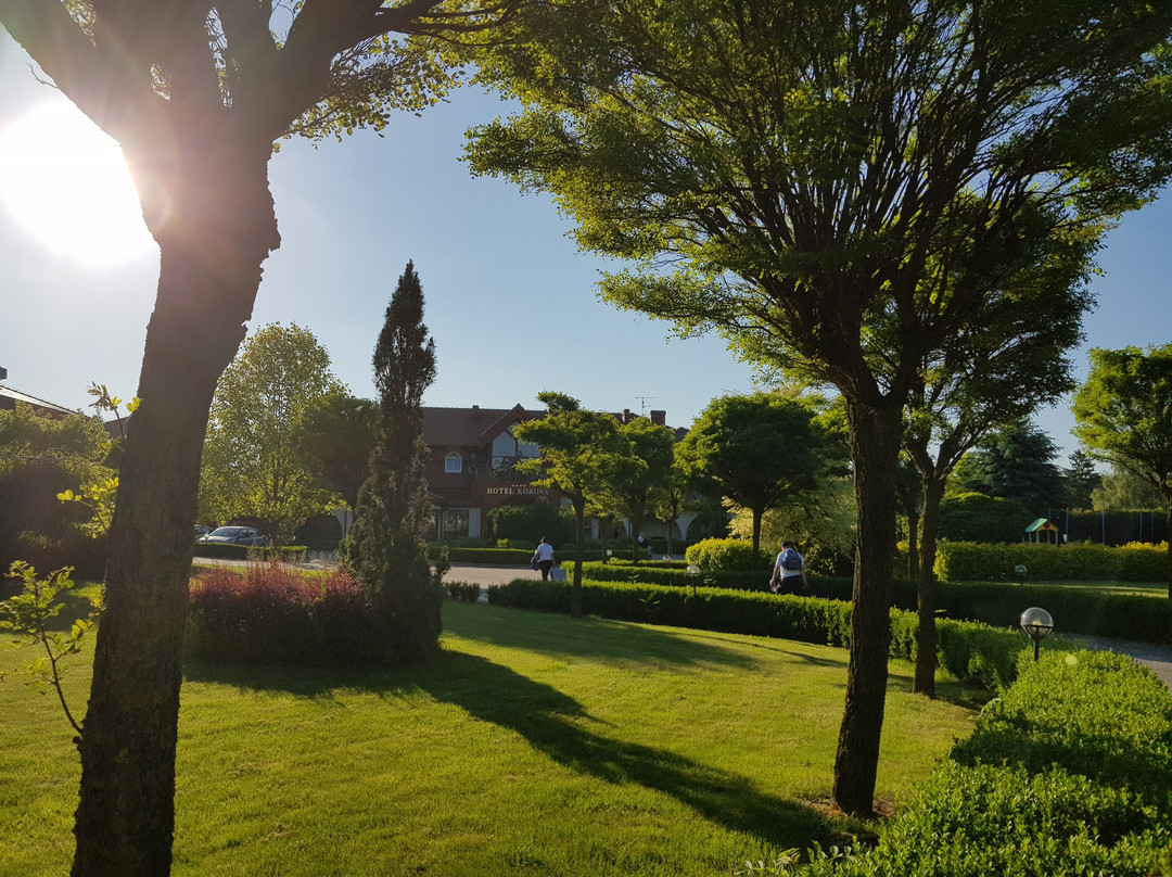 Hotel Korona Spa & Wellness主图