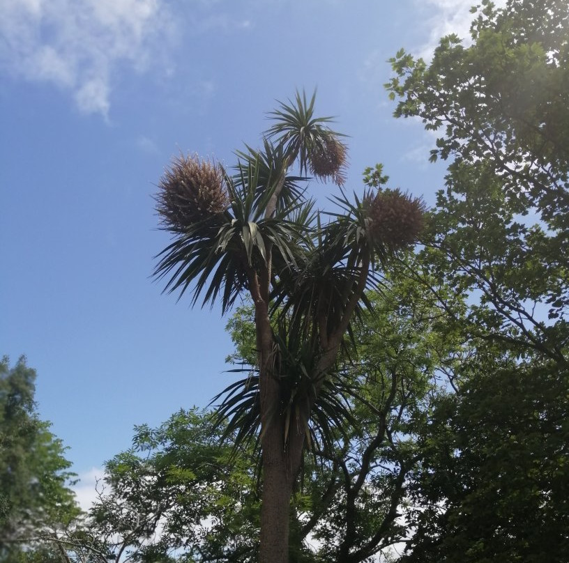 Haulfre Gardens-兰迪德诺必去景点