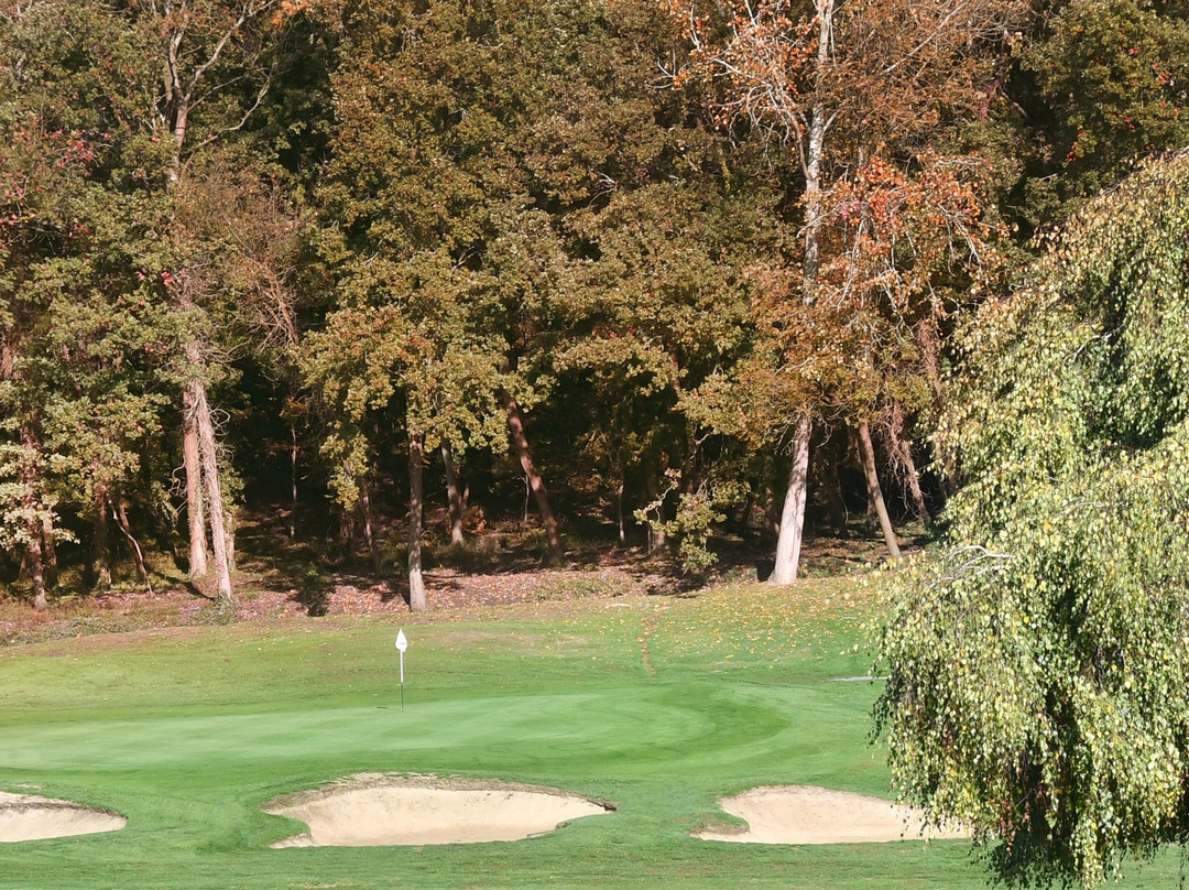 Calcot Park Golf Club景点图片