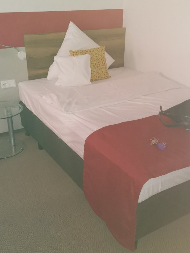 Hotel-Restaurant Vorderburg主图