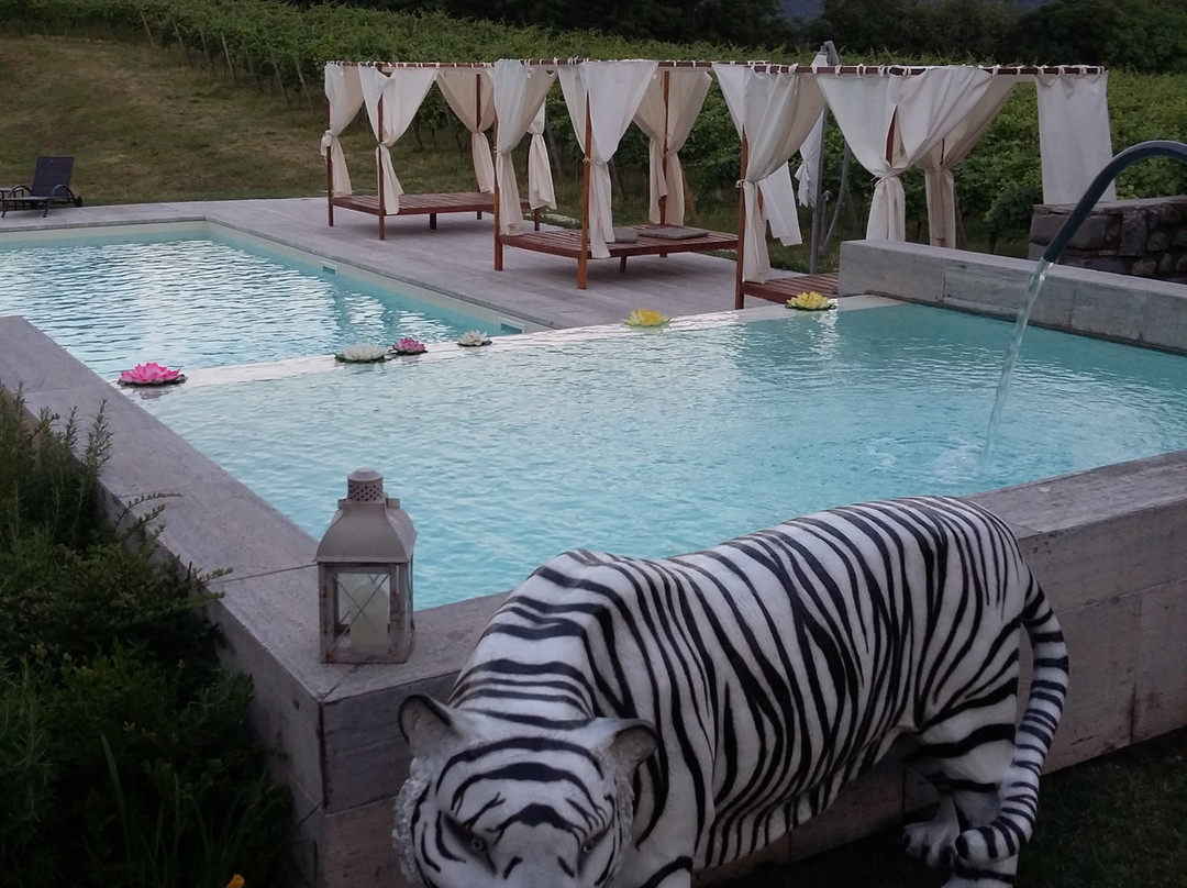 Podere Castel Merlo Resort主图