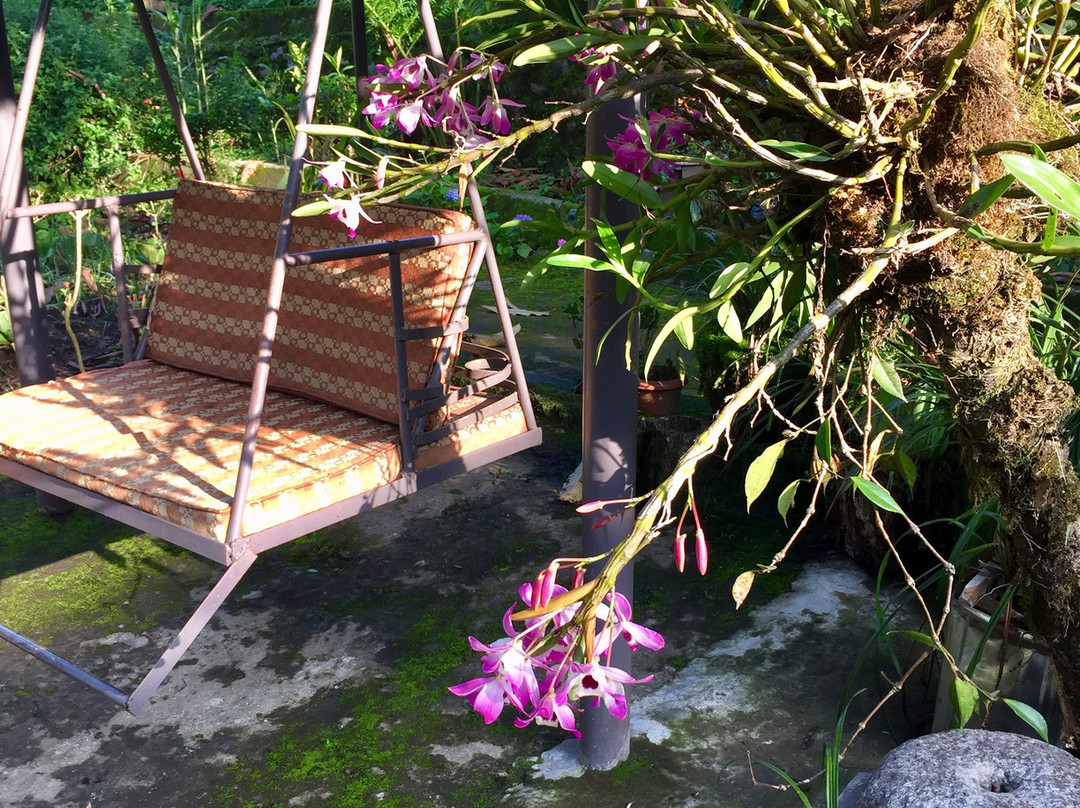 Limboo Homestay主图