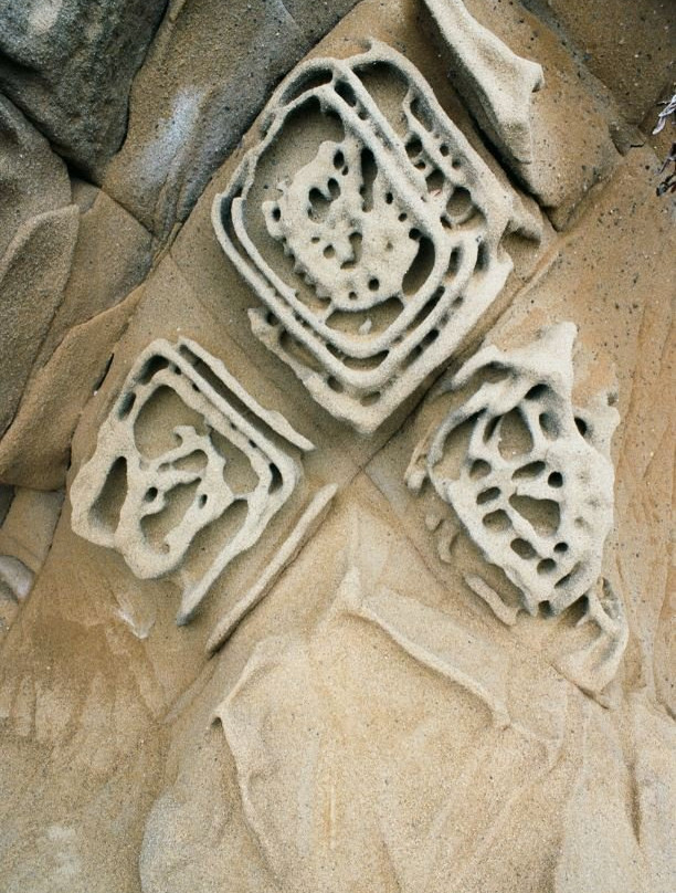 Bean Hollow State Beach-佩斯卡德罗必去景点