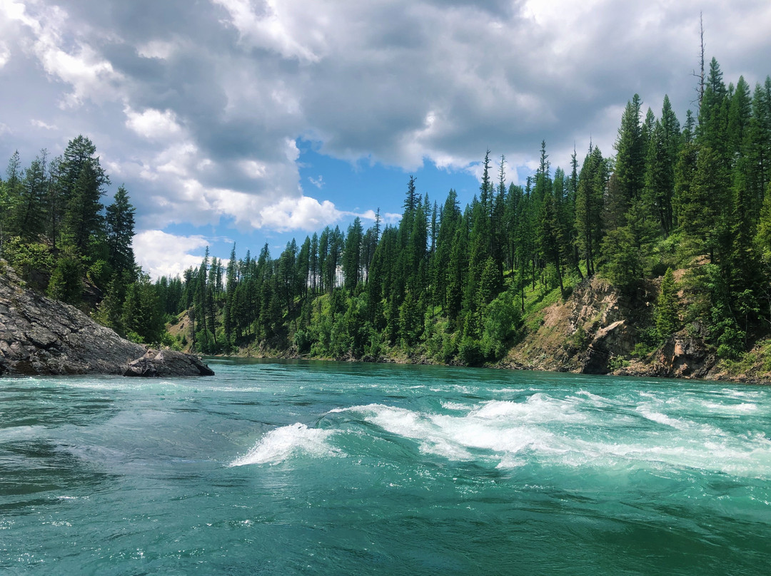 Wild River Adventures - Day Tours景点图片