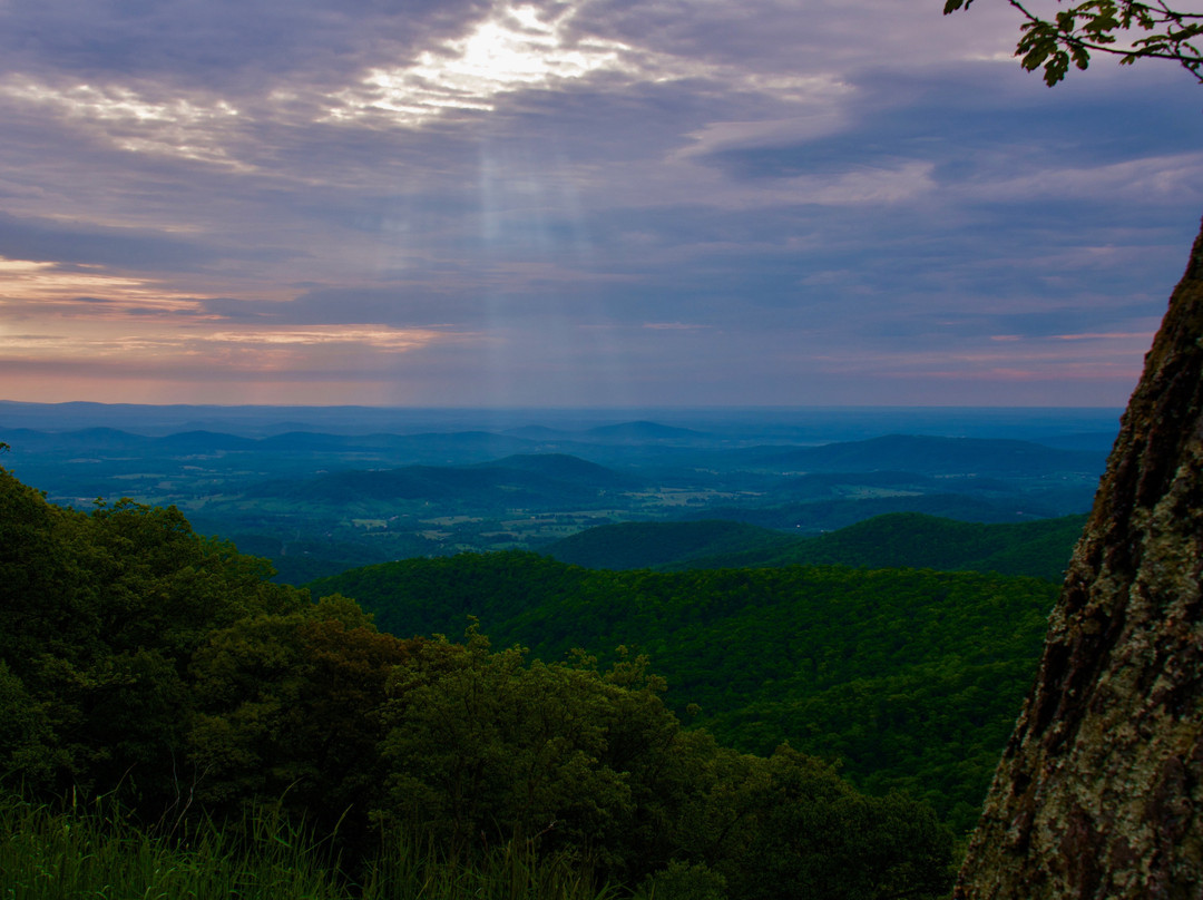 比格梅多斯旅馆主图