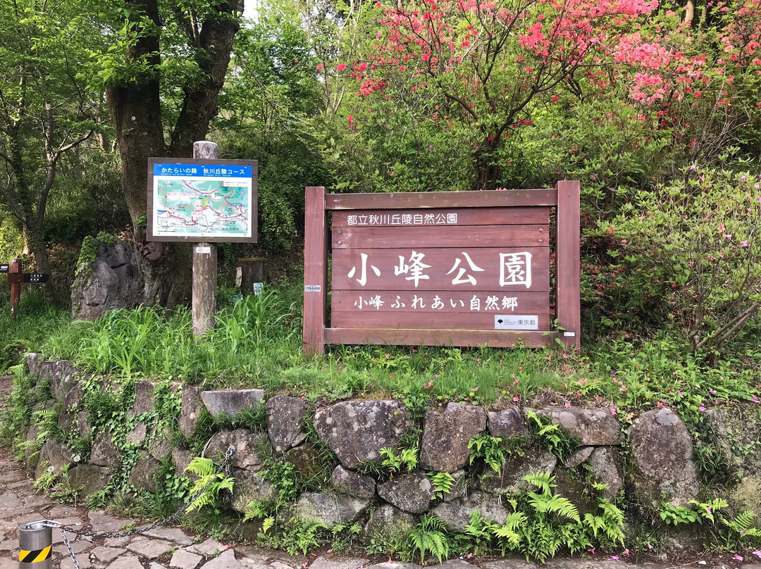 Toritsu Komine Park-秋留野市必去景点
