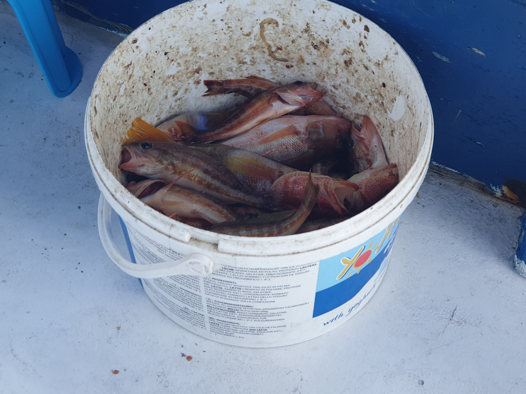 The Angler-帕福斯必去景点