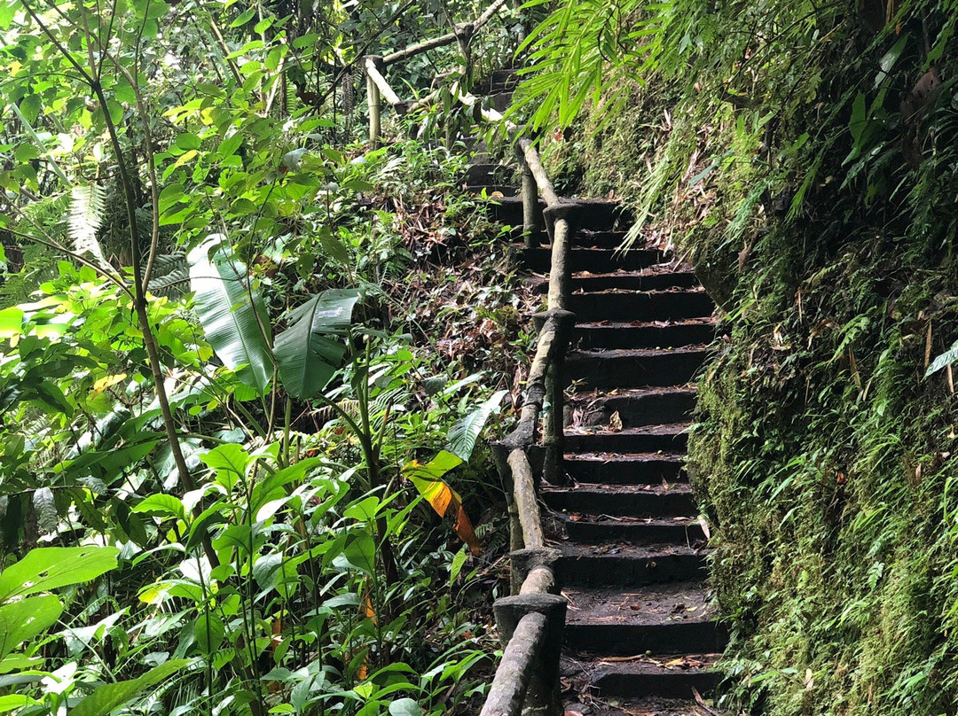 Malabsay Falls-纳加必去景点