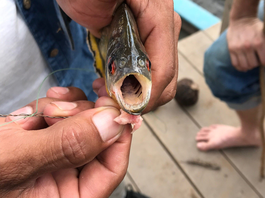 Enashawa Lodge主图