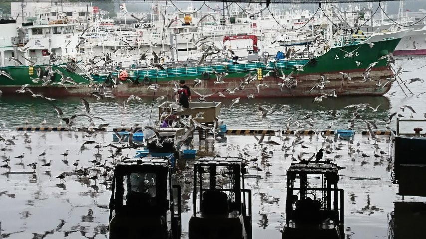 Kesennuma Fish Market景点图片