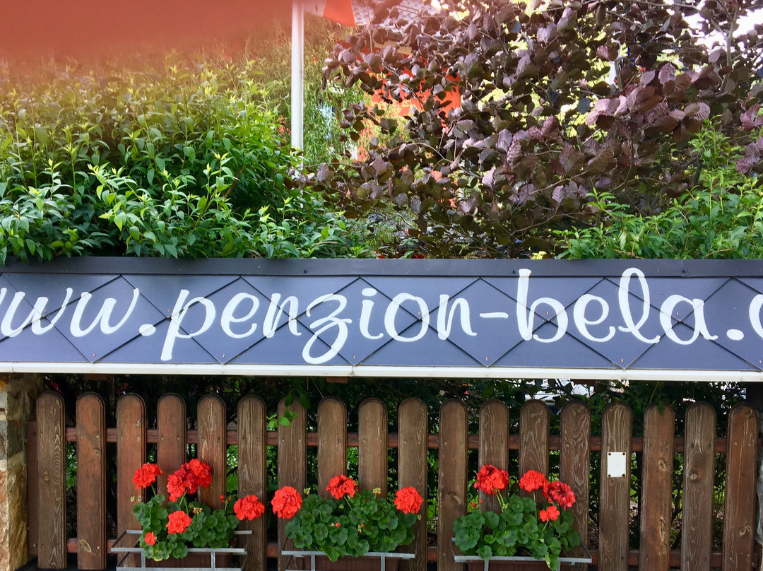 Penzion Bela主图
