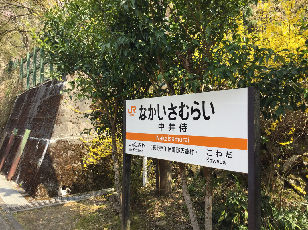 Okiyome no yu-天龙村必去景点