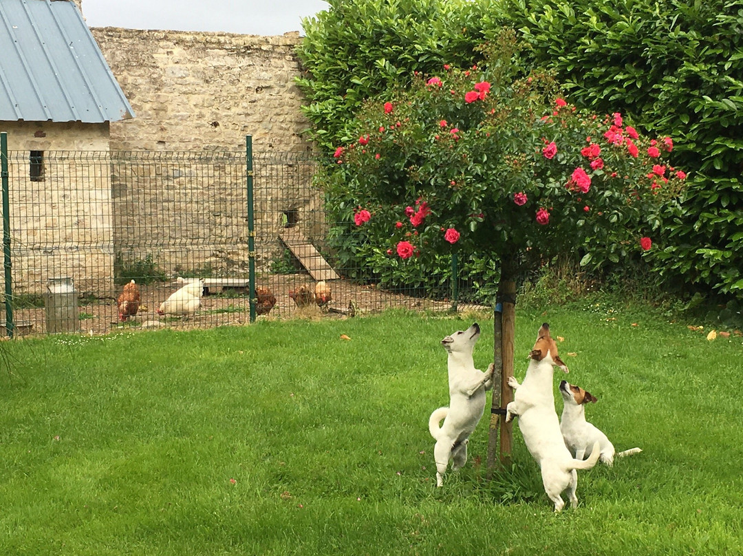 Osmanville旅游攻略图片