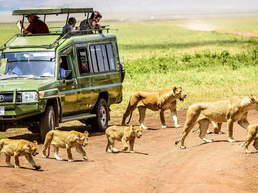 Travel With Brighton-坦噶必去景点
