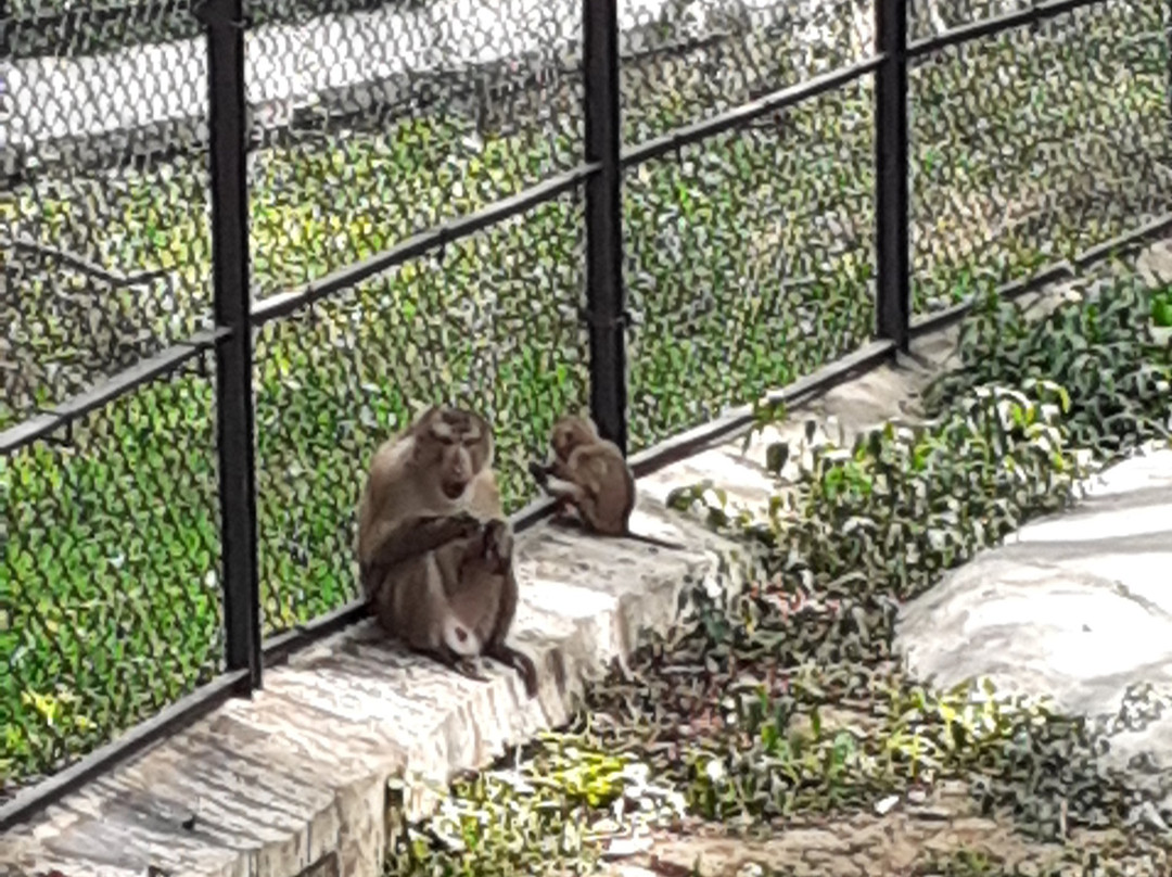 Bannerghatta Biological Park景点图片