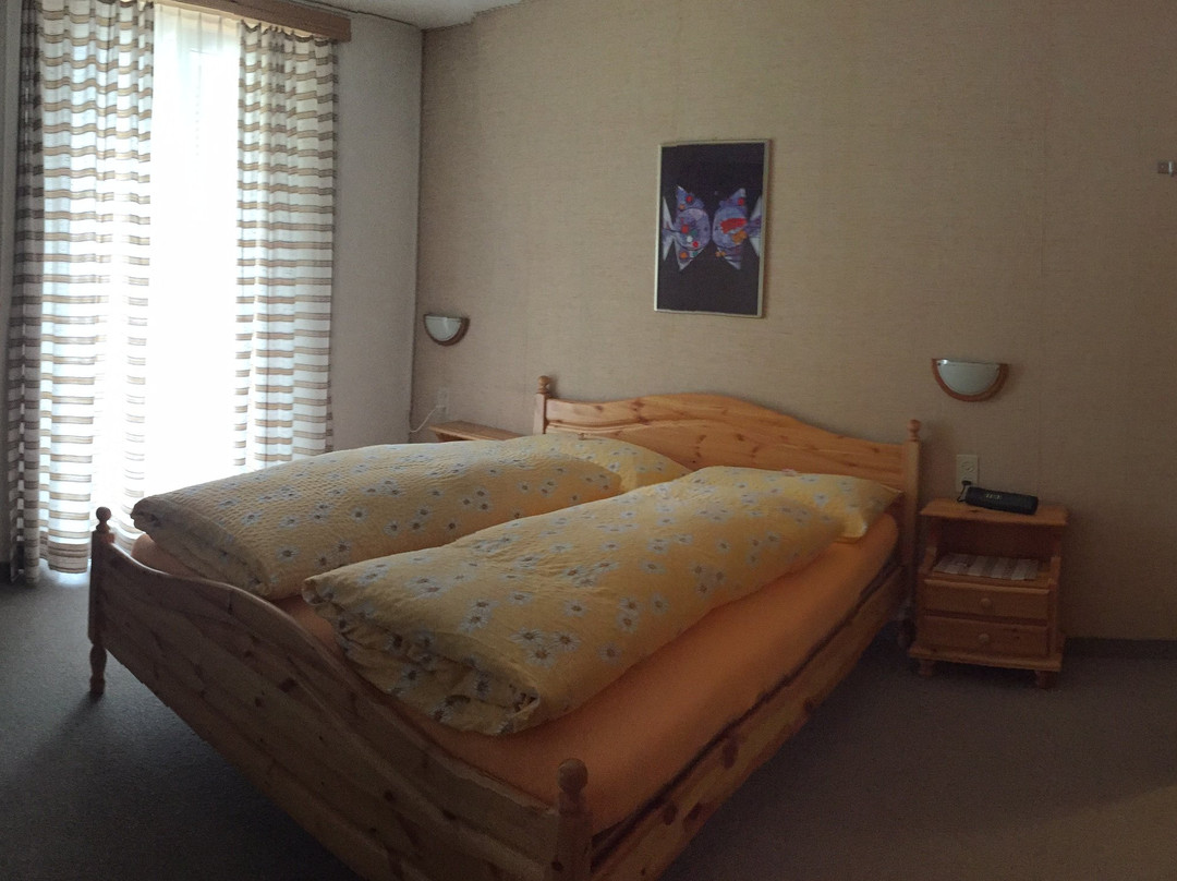 Hotel Albergo Lardi主图