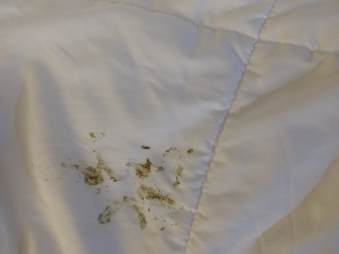 Econo Lodge Freeport - Brunswick Area主图