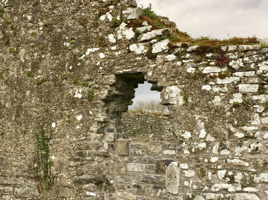 Ballybeg Priory景点图片