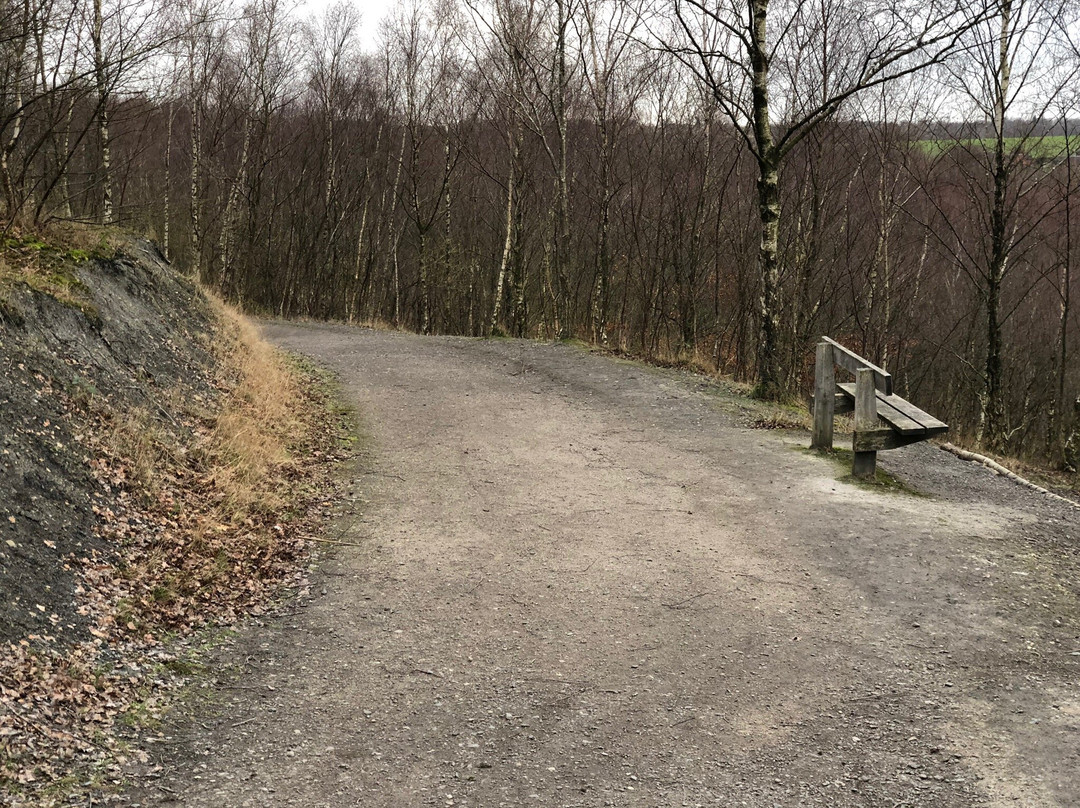 Pooley Country Park景点图片