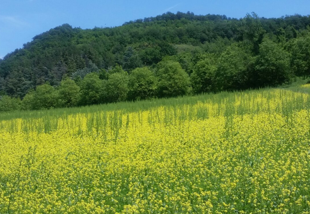 Parco della Chiusa-雷诺河畔卡萨莱基奥必去景点