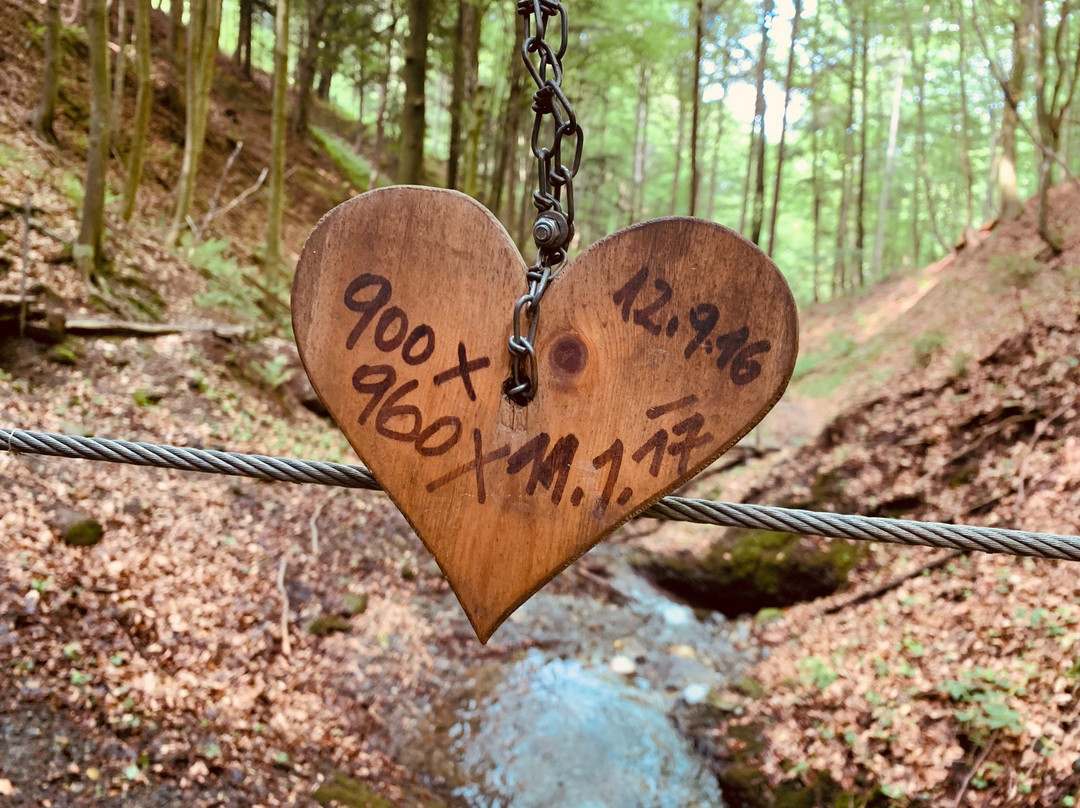 Altenbachklamm-Oberhaag必去景点