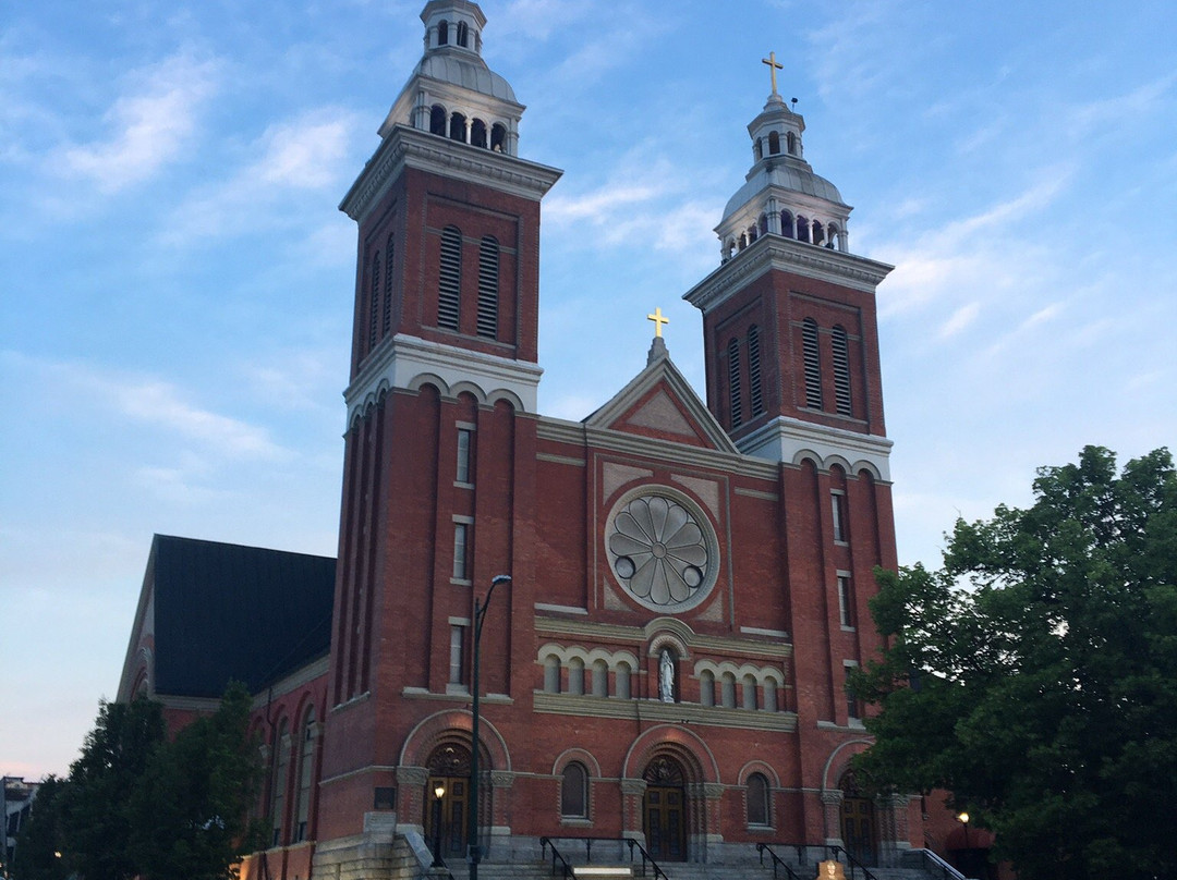 Cathedral of Our Lady of Lourdes景点图片