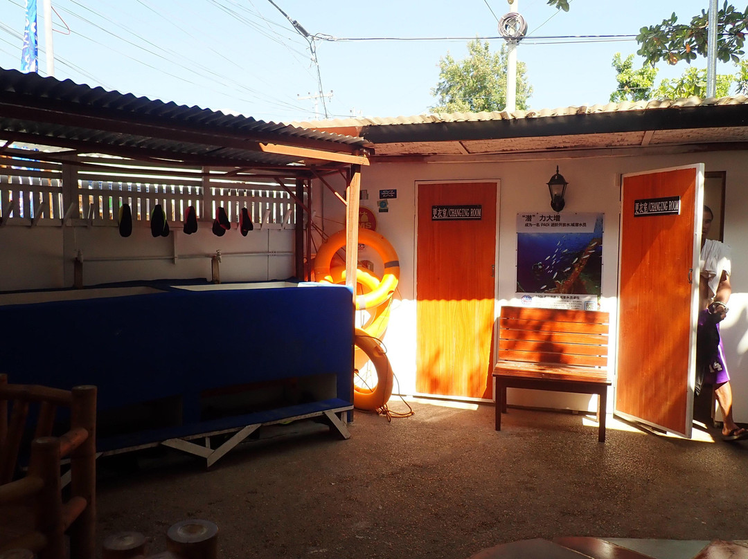 Amigos Dive Centre-莫阿尔博阿尔必去景点