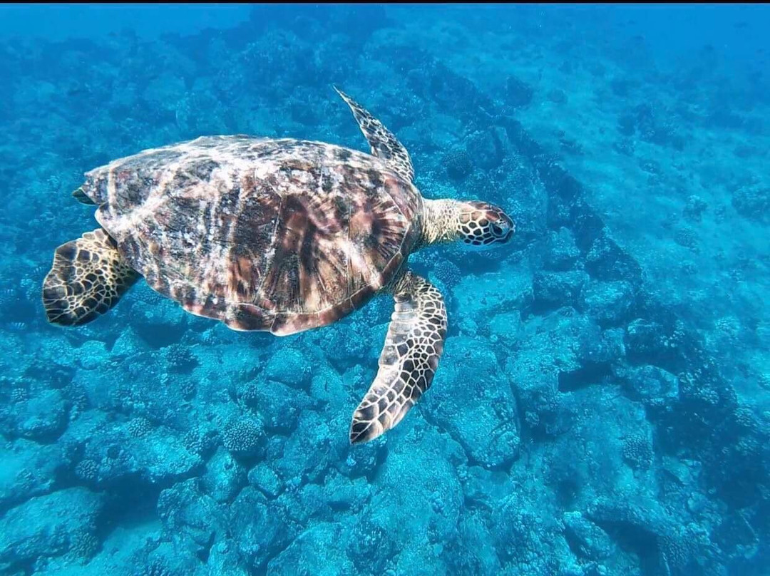 Kahe Point Beach Park景点图片