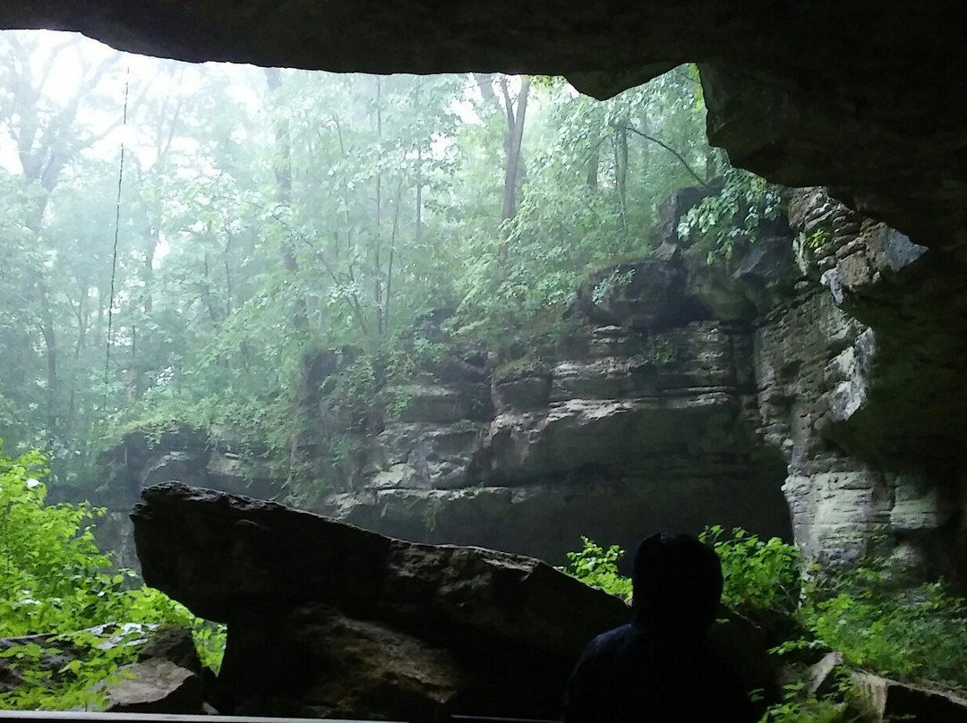 Russell Cave National Monument景点图片