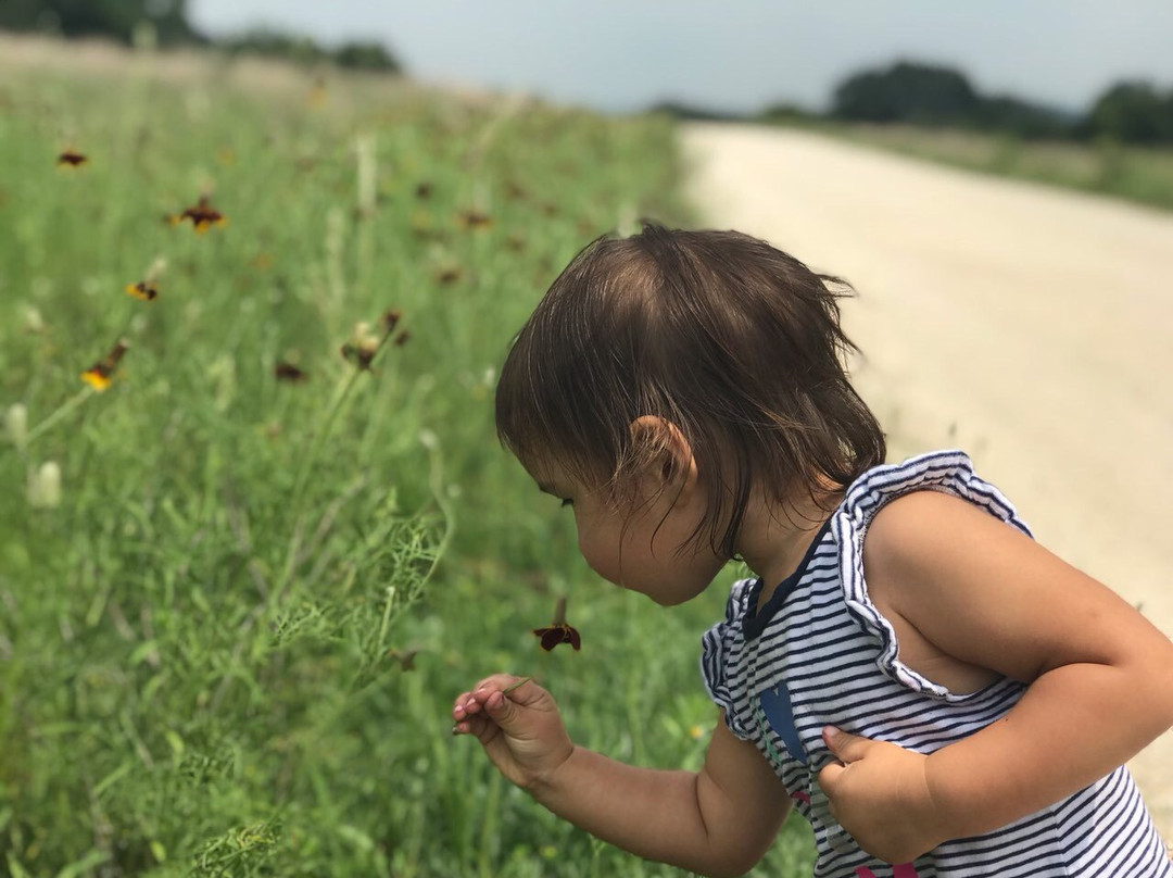 Hill Country State Natural Area-Bandera必去景点