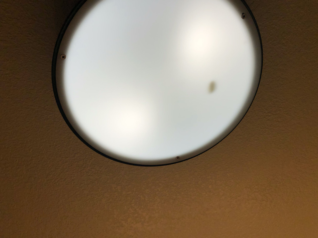 Holiday Inn & Suites Mckinney - N Allen By IHG主图