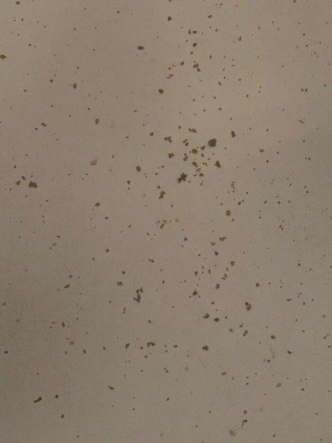 乔利埃特温盖特温德姆酒店主图