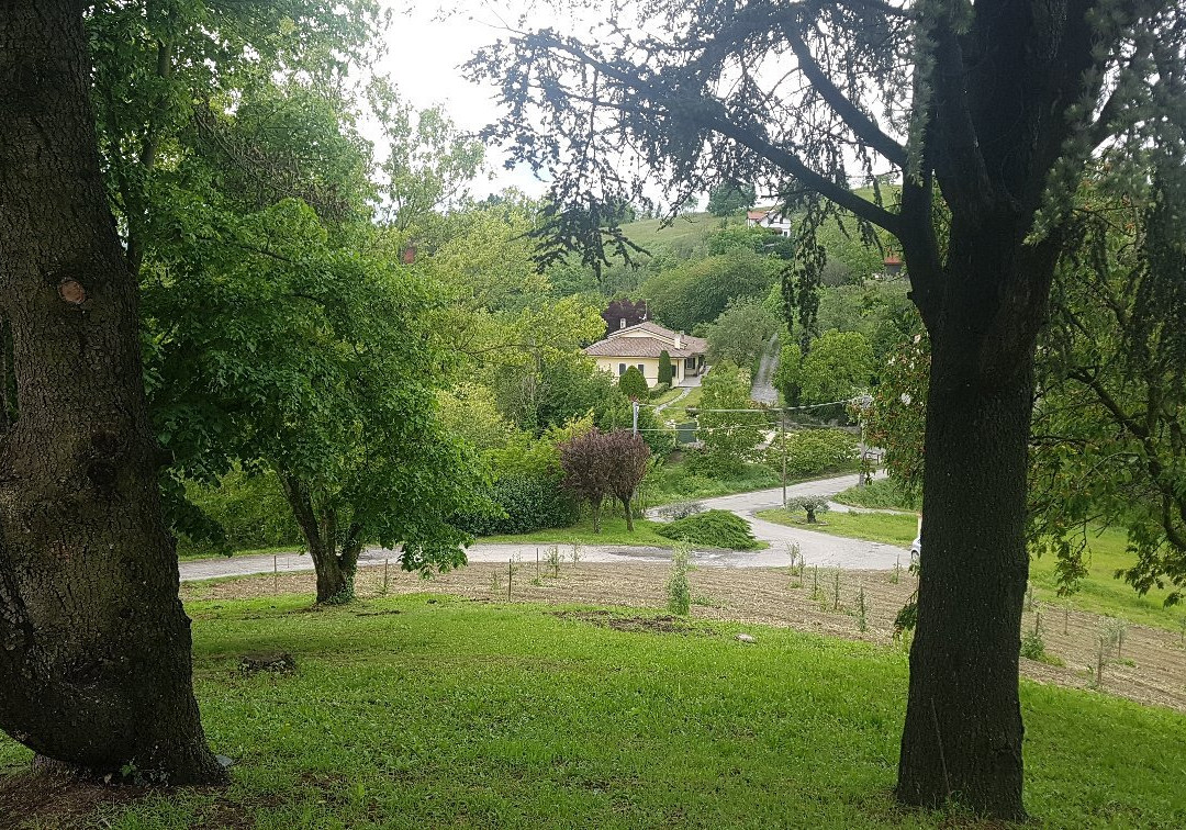 Gaudio Bricco Mondalino-Vignale Monferrato必去景点