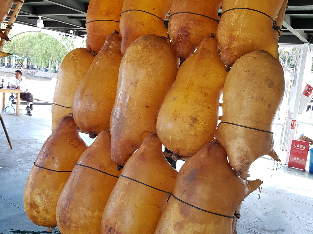 兰州滨河公园-兰州市必去景点