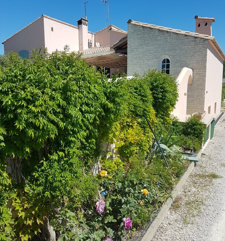 Les Bougainvillees主图