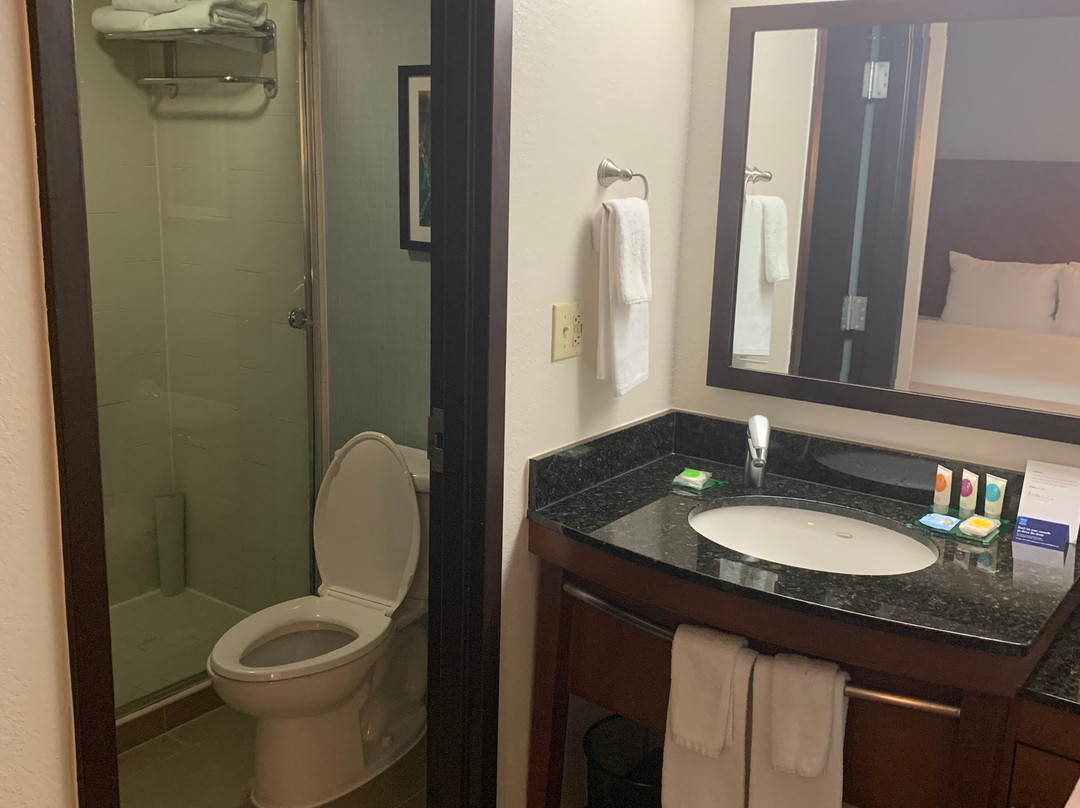 Hyatt Place Atlanta Airport - South主图