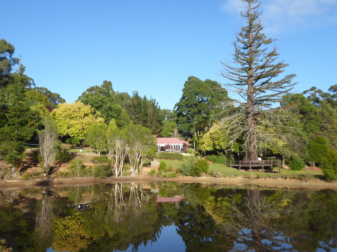 森林山林小屋度假酒店主图