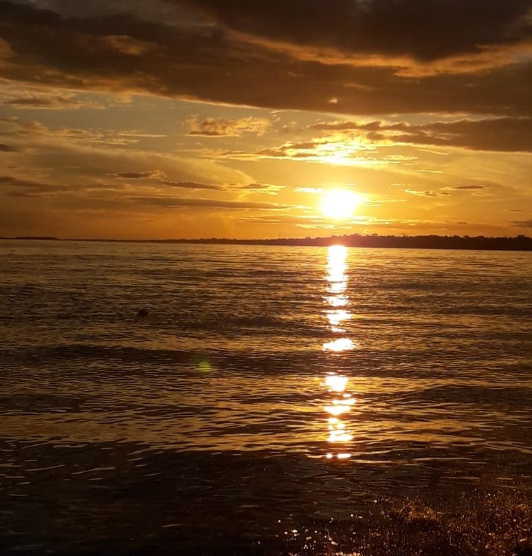 Jibaro Tours & Expeditions-伊基托斯必去景点