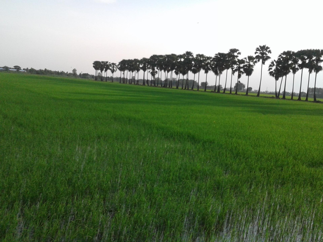 Nutty's Adventures-大城必去景点