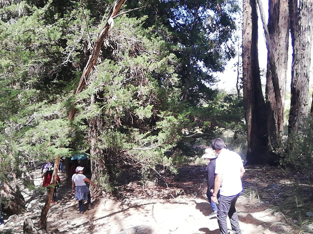 Pairumani Ecotourism Park-科恰班巴必去景点