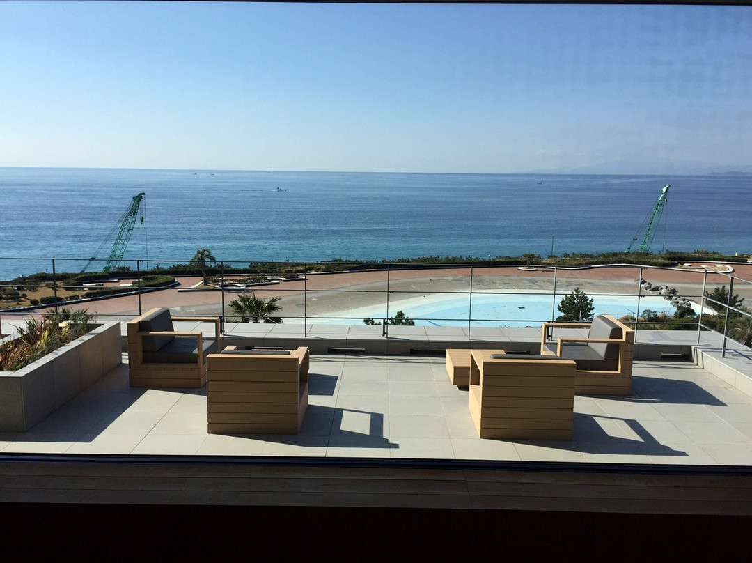 大矶王子大酒店主图