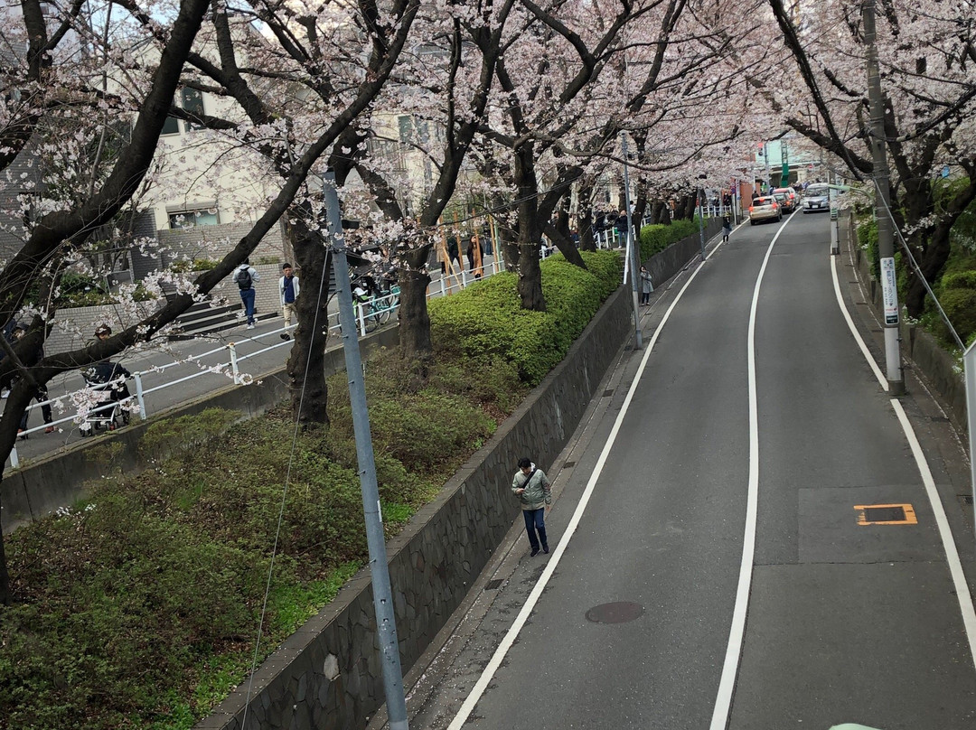 桜坂-大田区必去景点